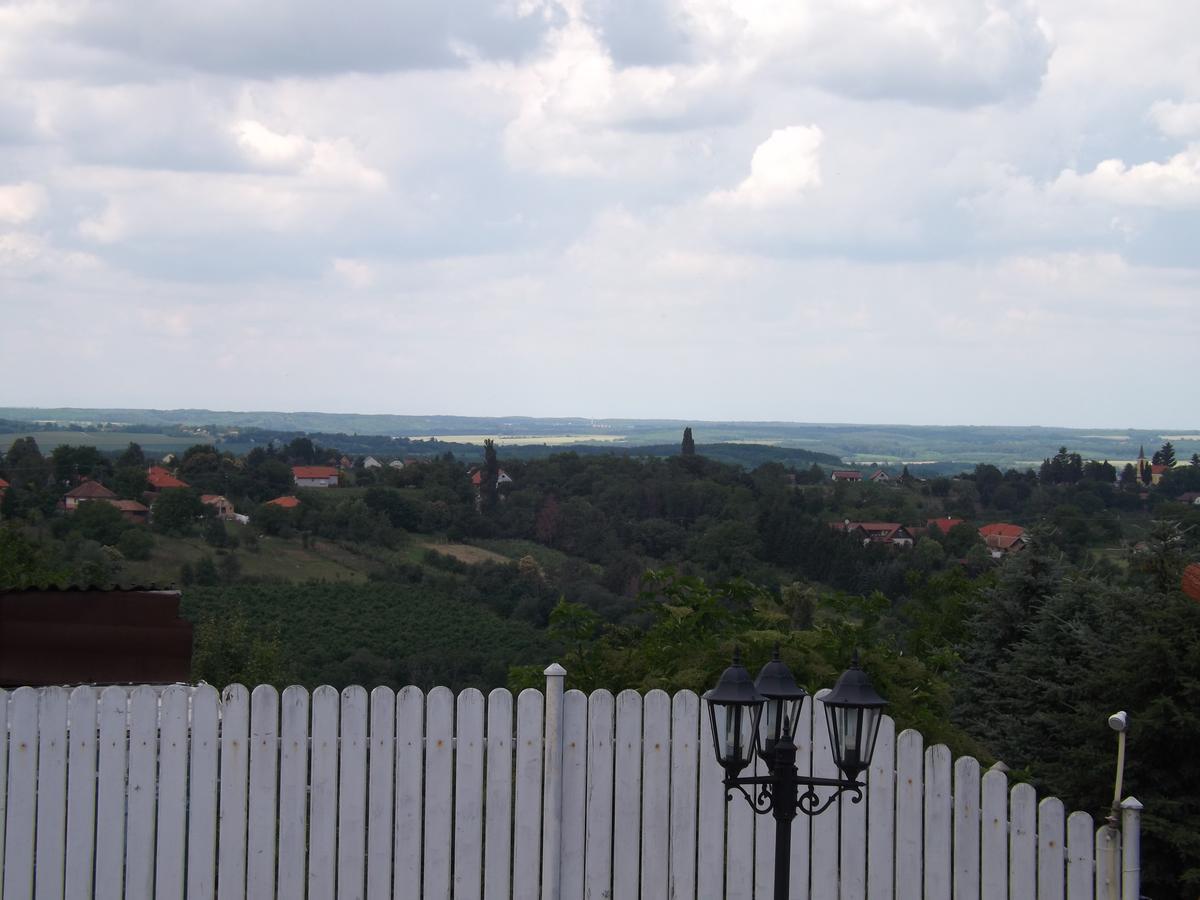 Arielle Panzio Hotel Zalaegerszeg Bagian luar foto